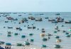 Chơi gì khi du lịch Phan Thiết 2 ngày 1 đêm sẽ không phí đời du-lich-phan-thiet-2-ngay-1-dem