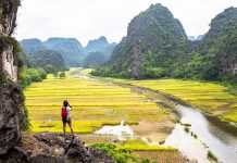 Mùa lúa chín ở cố đô Mùa lúa chín ở cố đô - Ảnh 1.