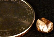 Tham quan công viên núi lửa, du khách nhặt được viên kim cương 2,23 cara Tham quan công viên núi lửa, du khách nhặt được viên kim cương 2,23 cara - 1