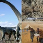 Khám phá lục địa đen, trải nghiệm Chén Thánh châu Phi Khám phá lục địa đen, trải nghiệm Chén Thánh châu Phi - 1