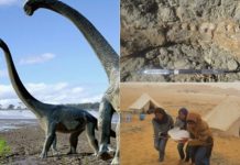 Khám phá lục địa đen, trải nghiệm Chén Thánh châu Phi Khám phá lục địa đen, trải nghiệm Chén Thánh châu Phi - 1