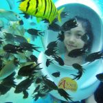 Hè đến, bạn trẻ thả ga khám phá Nha Trang trong 2 ngày Trải nghiệm đi bộ dưới đáy biển ngắm sinh vật trong lòng đại dương