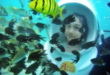 Hè đến, bạn trẻ thả ga khám phá Nha Trang trong 2 ngày Trải nghiệm đi bộ dưới đáy biển ngắm sinh vật trong lòng đại dương