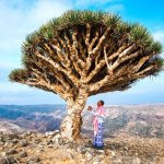 Hòn đảo có cây máu rồng, hình thành từ chất thải của cá Hon dao noi tieng anh 1