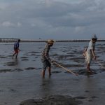 Bali lao đao vì Covid-19, nhân viên khách sạn về làm nông, bắt ngao du lich Bali anh 1