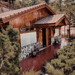 4 resort view rừng núi yên tĩnh ở Đà Lạt resort view rung nui Da Lat anh 1