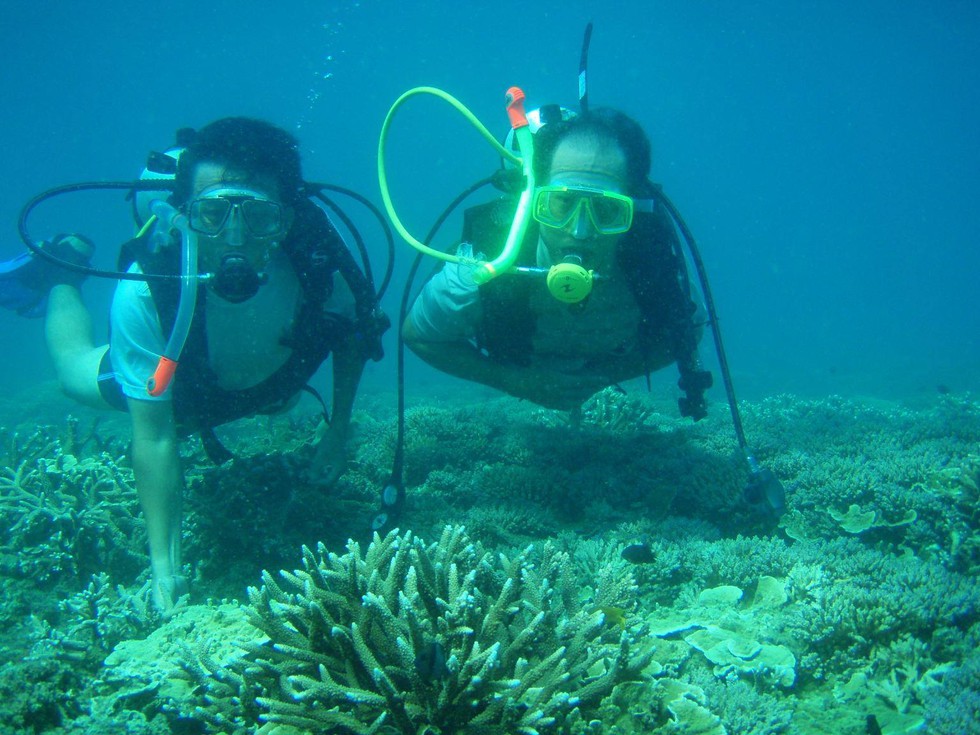 'Choáng' với cột san hô khổng lồ khi lặn biển ở Côn Đảo - ảnh 17