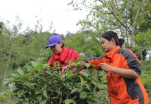 Những cô bé xứ Tuyên tuyệt vời Những cô bé xứ Tuyên tuyệt vời - Ảnh 1.