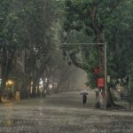 Bức tranh Hà Nội dưới cơn mưa vội ngày cuối tuần mua rao Ha Noi anh 1