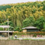 Mùa hè nước Nhật, mùa của hoài niệm Nhat Ban anh 1