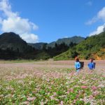 Hà Giang vẫy gọi du khách với nhiều ưu đãi, miễn phí vé tham quan Hà Giang vẫy gọi du khách với nhiều chương trình kích cầu du lịch /// Trung tâm xúc tiến du lịch Hà Giang