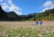 Hà Giang vẫy gọi du khách với nhiều ưu đãi, miễn phí vé tham quan Hà Giang vẫy gọi du khách với nhiều chương trình kích cầu du lịch /// Trung tâm xúc tiến du lịch Hà Giang