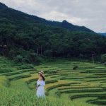 Bí kíp khám phá địa điểm hot khi ‘Bao la Việt Nam’ tại các tỉnh miền Trung Khung cảnh Pù Luông xanh mát mắt khiến tâm hồn dễ chịu (Ảnh: @wecheckinvn)