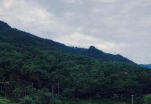 Bí kíp khám phá địa điểm hot khi ‘Bao la Việt Nam’ tại các tỉnh miền Trung Khung cảnh Pù Luông xanh mát mắt khiến tâm hồn dễ chịu (Ảnh: @wecheckinvn)