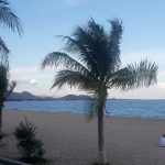 Có gì lạ ở đất Tháp? Có gì lạ ở đất Tháp? - Ảnh 1.