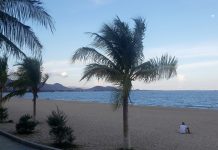 Có gì lạ ở đất Tháp? Có gì lạ ở đất Tháp? - Ảnh 1.