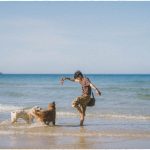 4 ngày 3 đêm khám phá xứ hoa vàng trên cỏ xanh cùng cún cưng