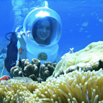 Đi bộ dưới biển ngắm san hô trong vịnh Nha Trang tốn chưa đến 1 triệu đồng "Đi bộ dưới đáy biển" ngắm san hô trong vịnh Nha Trang /// Ảnh: V.A