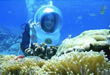 Đi bộ dưới biển ngắm san hô trong vịnh Nha Trang tốn chưa đến 1 triệu đồng "Đi bộ dưới đáy biển" ngắm san hô trong vịnh Nha Trang /// Ảnh: V.A