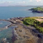 ‘Rừng san hô’ lộ thiên độc đáo bên bờ biển miền Trung Rung san ho o Ganh Yen anh 1