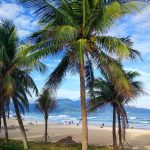 Về miền biển xanh, nắng vàng tại 4 bãi tắm Đà Nẵng Da Nang anh 1