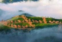 Thị xã có tên ngắn nhất Việt Nam