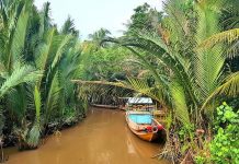 Về miền Tây thăm cồn Hưng Phong ngắm cảnh miệt vườn thật đã Những chiếc thuyền neo lại trong con rạch nhỏ của người dân trên cồn /// Ảnh: Quách Duy Thịnh