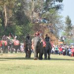 Đắk Lắk phát động chương trình ‘Người Việt Nam đi du lịch Việt Nam’ Đắk Lắk phát động chương trình 'Người Việt Nam đi du lịch Việt Nam'