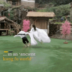 Đến nơi được thỏa sức bay lượn như thần tiên trong phim cổ trang Đến nơi được thỏa sức bay lượn như thần tiên trong phim cổ trang