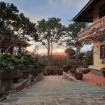 Lịch trình du lịch Đà Lạt 3 ngày 2 đêm cho cặp đôi siêu lãng mạn du-lich-da-lat-3-ngay-2-dem