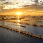 Nơi có đầm phá lớn nhất Đông Nam Á, làng hương hút giới trẻ Du lich Hue anh 1