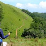 2 ngày trekking chinh phục Tà Năng – Phan Dũng, cung đường đẹp nhất miền Nam Du khách như người lữ hành đi bộ suốt 30km để ngắm trọn cung đường tuyệt đẹp Tà Năng-Phan Dũng