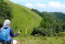 2 ngày trekking chinh phục Tà Năng – Phan Dũng, cung đường đẹp nhất miền Nam Du khách như người lữ hành đi bộ suốt 30km để ngắm trọn cung đường tuyệt đẹp Tà Năng-Phan Dũng
