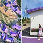 Khám phá hòn đảo ‘tím lịm tim’ Khám phá hòn đảo tím lịm tim - 1