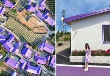 Khám phá hòn đảo ‘tím lịm tim’ Khám phá hòn đảo tím lịm tim - 1