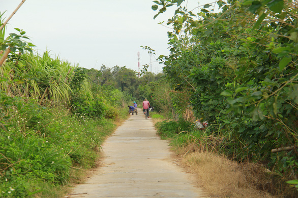 Thăm làng quê Bao La, ngắm cây ngô đồng cô đơn trong Mắt biếc - Ảnh 2.