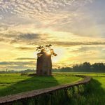 Lò gạch cũ gần Hội An đẹp như phim trong khung hình check-in Quang Nam anh 1