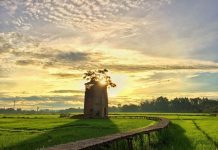 Lò gạch cũ gần Hội An đẹp như phim trong khung hình check-in Quang Nam anh 1