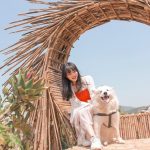 Lên xứ hoa đào, đi cà phê ôm… chó ‘quý tộc’ Khách tha hồ ôm chó tại Ôm - Cafe Thú Cưng /// ẢNH: QUANG VIÊN