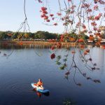 Hè đi chơi xứ Huế ‘siêu tiết kiệm’ 3 ngày 2 đêm tốn bao nhiêu? Chèo thuyền trên sông Hương, một cách thưởng ngoạn Huế đầy thú vị /// Tuyết Khoa