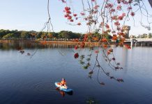 Hè đi chơi xứ Huế ‘siêu tiết kiệm’ 3 ngày 2 đêm tốn bao nhiêu? Chèo thuyền trên sông Hương, một cách thưởng ngoạn Huế đầy thú vị /// Tuyết Khoa