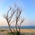 Du lịch Hội An mà không tới 3 bãi biển này sẽ tiếc hùi hụi du-lich-hoi-an