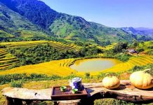 Hè đến ghé Lai Châu giữa trời Tây Bắc ‘lạc’ trong bản Mông với mây trời Mùa vàng Lai Châu /// Ảnh: Hảng Sú