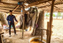 Về miền Tây tận mắt xem nghề ‘ăn dưới đất, làm trên trời’ Đường thốt nốt An Giang vẫn được nấu thủ công nên hấp dẫn du khách