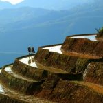 Ruộng bậc thang Mù Cang Chải đẹp lung linh mùa đổ nước Ngắm ruộng bậc thang Mù Cang Chải đẹp lung linh mùa đổ nước - 1