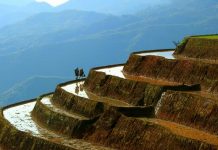 Ruộng bậc thang Mù Cang Chải đẹp lung linh mùa đổ nước Ngắm ruộng bậc thang Mù Cang Chải đẹp lung linh mùa đổ nước - 1