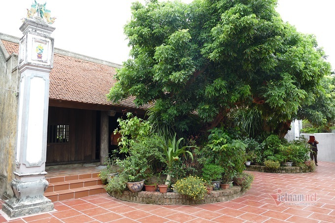 Cổ vật quý trong ngôi nhà gỗ của vị quan triều Nguyễn ở Hà Nam