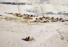 Phát hiện cụm di tích triệu năm tuổi hé lộ bí ẩn về kỳ quan Stonehenge (Anh) Phát hiện cụm di tích triệu năm tuổi hé lộ bí ẩn về kỳ quan Stonehenge (Anh) - Ảnh 1.