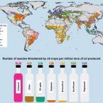 Hé lộ bí mật kinh hoàng của dầu dừa đối với môi trường Hé lộ bí mật kinh hoàng của dầu dừa đối với môi trường - Ảnh 1.