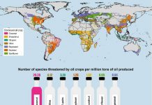 Hé lộ bí mật kinh hoàng của dầu dừa đối với môi trường Hé lộ bí mật kinh hoàng của dầu dừa đối với môi trường - Ảnh 1.
